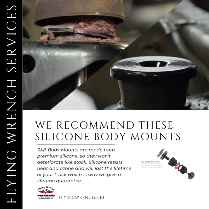 We Recommend These Silicone Body Mounts